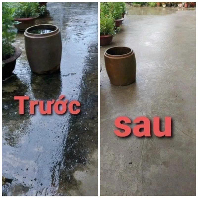 Bột Tẩy Rong Rêu Mạnh – Xử Lý Rong Rêu Lâu Năm, Tường Gạch, Sân Nền Trơn Trượt