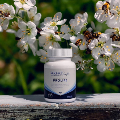 Viên uống gan nhiễm mỡ PROLIFE Damode lọ 60 viên