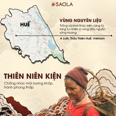 Cao Thiên niên kiện Sao la - Giúp giảm đau vai gáy, cơ xương khớp - Hàng chính hãng