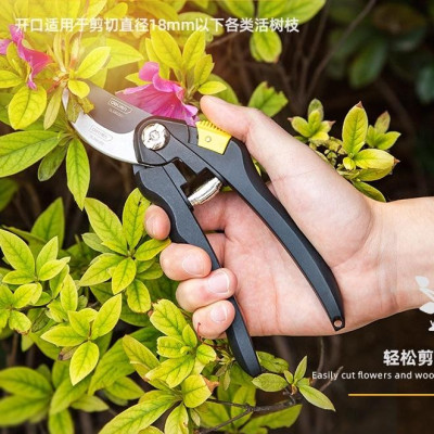 Kéo Cắt Tỉa Cành Cây Deli Chính Hãng 8inch - Lưỡi Thép Sắc Bén, Siêu Bền, Tay Cầm Đệm Cao Su An Toàn, Chắc Chắn DL580201