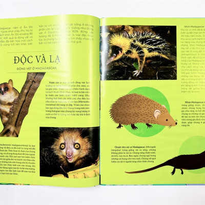 Bách Khoa Tri Thức Về Các Kỳ Quan Thế Giới - Kỳ Quan Tự Nhiên