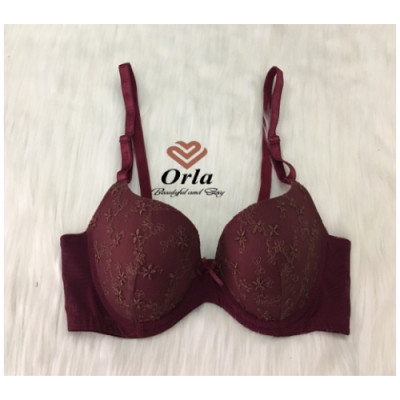 Áo Ngực Ren Mút Mỏng, Có Gọng, Bản Lưng To Lưới Thoáng Khí Che Mỡ Phần Lưng Tốt  AN06