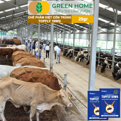Thuốc Diệt Ruồi Greenhome, Topfly 10wg, Gói 20gr, Thu Hút Mạnh, Diệt Ruồi Nhanh, Hiệu Quả, An Toàn, Tiết Kiệm