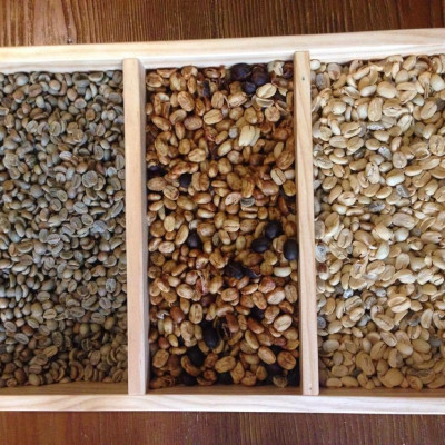 Cà phê hạt 100% nguyên chất truyền thống số 2 Coffee Tree 1kg đậm đà, thơm ngon, gu vừa