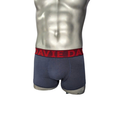 Quần Lót Nam Thương Hiệu Davie Boxer Dv2205 Bản Lưng 4.0 Cm Mạnh Mẽ Và Chắc Chắn