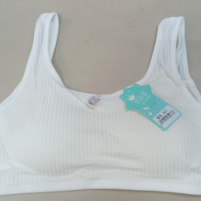 COMBO 2 ÁO LÁ HỌC SINH COTTON SỌC TRẮNG ĐẸP