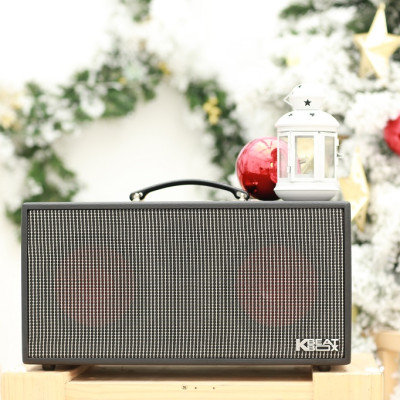 Dàn âm thanh di động xách tay ACNOS KSNET450