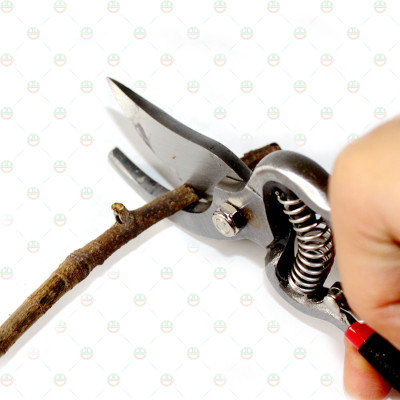 [Nhanh Gọn] Kéo Cắt Tỉa Cành Cây Lưỡi Cong KhoNCC Hàng Chính Hãng - Giúp Việc Cắt Hiệu Quả Hơn - KLVQ-KCTCC