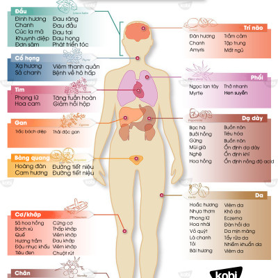 Tinh Dầu Gỗ Hồng Kobi Rosewood Essential Oil Dùng Xông Phòng Giúp Giảm Lãnh Cảm, Giải Tỏa Stress, Chăm Sóc Da Hiệu Quả
