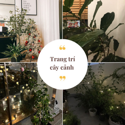 Đèn led dây năng lượng mặt trời T-Light 10 mét, 20 mét cho không gian Nhà, Quán Cafe, Ban Công, Sân Thượng Siêu Chill...