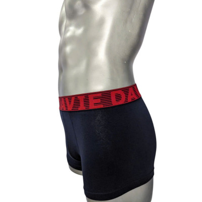 Quần Lót Nam Thương Hiệu Davie Boxer Dv2205 Bản Lưng 4.0 Cm Mạnh Mẽ Và Chắc Chắn