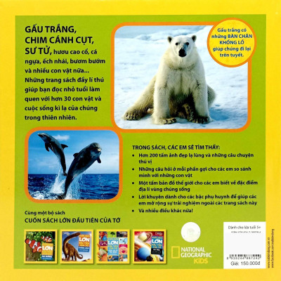 Sách - Cuốn Sách Lớn Đầu Tiên Của Tớ - Động Vật - Bìa Cứng (Tái Bản 2024)