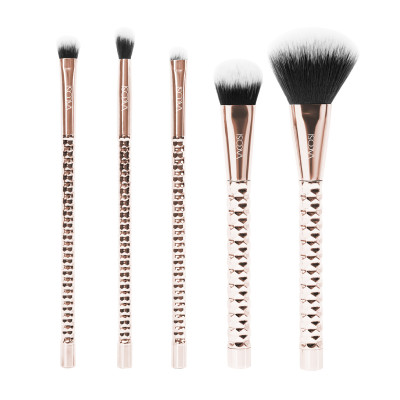 SC04 - BỘ KIT 5 CỌ CƠ BẢN VACOSI, PHIÊN BẢN GOLDEN DRAGON - LUNA THE FACE & EYES BRUSH KIT, 5PCS