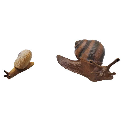 Đồ Chơi Mô Hình Vòng Đời Tự Nhiên - Ốc Sên Lớn Lên Như Thế Nào? - Firstar DK81261