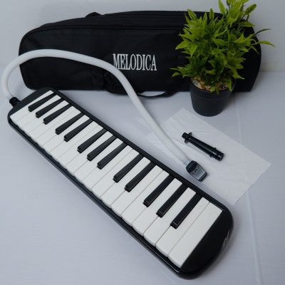 Kèn Melodion Melodica 37 Phím Giá Rẻ Đủ Màu Cho Bạn Mới Tập Chơi