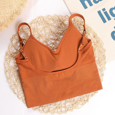 Áo Bra Hoa Cúc Họa Mi Thun Gân Hottrend Cá Tính