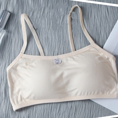 Combo 5 áo lót học sinh tuổi dậy thì cấp 1, 2, 3 - vải cotton tăm mềm mát thoải mái - phù hợp với các bạn nữ dưới 53kg