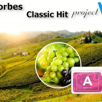 [VOUCHER 200K & TẶNG 5 TÚI PV ZIP] Thực Phẩm Sức Khoẻ BR+A+S2S | V Alphabet - Trí não, Thị lực & Chống oxy hoá - PROJECT V - Xuất xứ Pháp, Hàng Chính Hãng