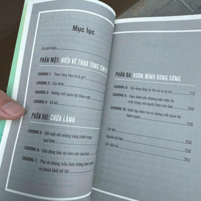 CHỮA LÀNH TỔN THƯƠNG HẬU THAO TÚNG TÂM LÝ - Cẩm Nang Giúp Phụ Nữ Nhận Diện Và Ứng Phó Với Lạm Dụng Cảm Xúc - Tiến sĩ Amelia Kelley - Kiều Ân dịch - AlphaBooks