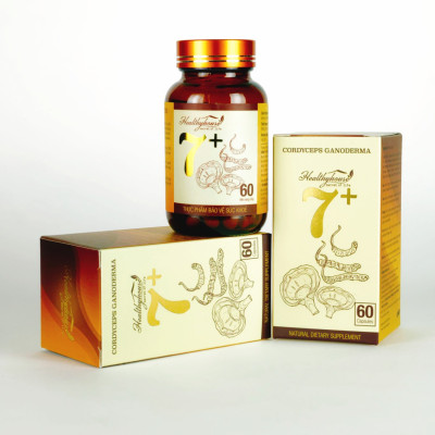 Viên Uống Đông Trùng Linh Chi 7+ Hỗ Trợ Tăng Đề Kháng, Giảm Mệt Mỏi PNC Healthcare Hộp 60 Viên