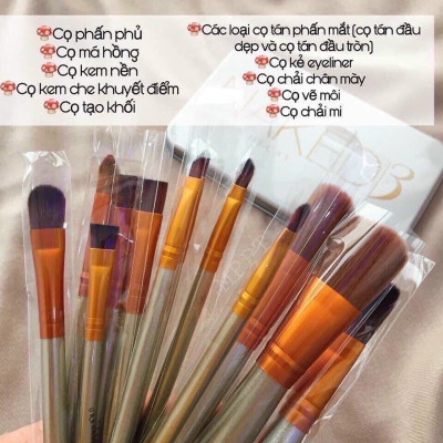 Set  cọ tán phấn 12 món kèm hộp đựng đa năng cao cấp ,đầu cọ mềm mịn và bám phấn , cán cọ dài thích hợp khi cầm ,thiết kế tinh xảo xinh xắn 