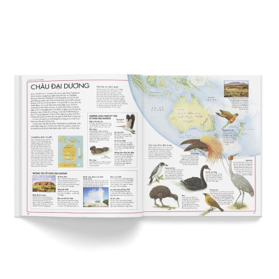 Sách - Atlas các loài chim - Bìa cứng - Đông A