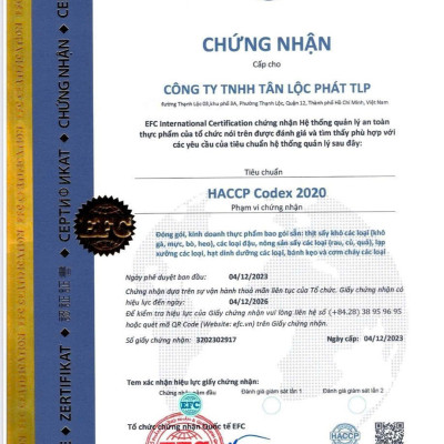 KHÔ BÒ MIẾNG TÂN LỘC PHÁT COMBO 2 BỊCH - MỖI BỊCH 250G