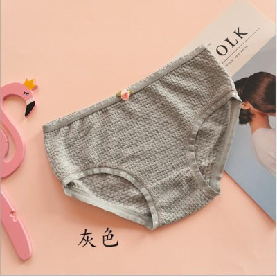 COMBO 10 QUẦN BÔNG THUN XỐP SIÊU XINH 1456