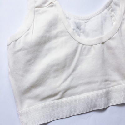 Combo 2 áo lá học sinh cotton đơn giản ALHS06 ( trắng )