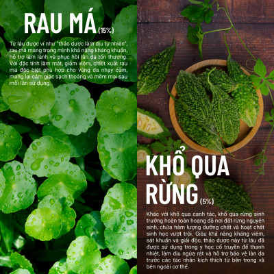 Bọt Vệ Sinh Rau Má Khổ Qua Rừng Thuần Chay Heebee