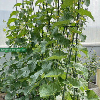 10 ống thép bọc nhựa phi 20 dài 270cm chuyên dùng làm giàn cho cây leo dùng bền từ 5 năm ở nhiệt độ ngoài trời dụng cụ làm vườn nhật bản Daim