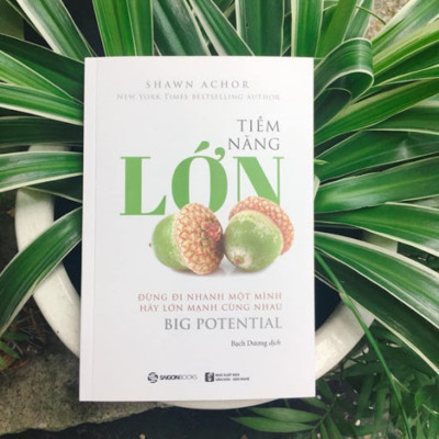 Tiềm năng lớn - Đừng đi nhanh một mình, hãy lớn mạnh cùng nhau (Big Potential) - Tác giả: Shawn Achor
