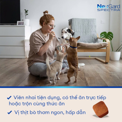 Nexgard Spectra - Phòng Và Diệt Ve Rận, Bọ Chét, ghẻ Demodex  Nội Và Ngoại Ký Sinh Trùng Cho Chó
