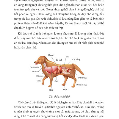 100 Mẹo Nuôi Và Chăm Sóc Thú Cưng