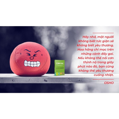 Sách OSHO Cảm Xúc - Emotional Wellness - First News