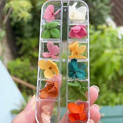 Set Hoa Khô Đắp Gel Ẩn Móng 12 Màu, Trang Trí Nail Độc Đáo, Tạo Hiệu Ứng Đẹp, Chùm Hoa Nhiều, Làm Nail Chuyên Nghiệp Women Nữ Sơn Gel