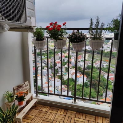 Combo 9 Ván Sàn Gỗ Tự Nhiên Màu Nâu Vàng, Vỉ Gỗ Lót Sàn Ban Công, Sân Vườn, Hồ Bơi, Phòng Spa, Siêu Bền, Chịu Nước Tốt, Chống Trơn Trượt, Tiêu Chuẩn Xuất Khẩu