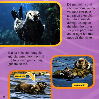 Cuốn Sách Lớn Đầu Tiên Của Tớ - Đại Dương - Bìa Cứng (Tái Bản 2024)