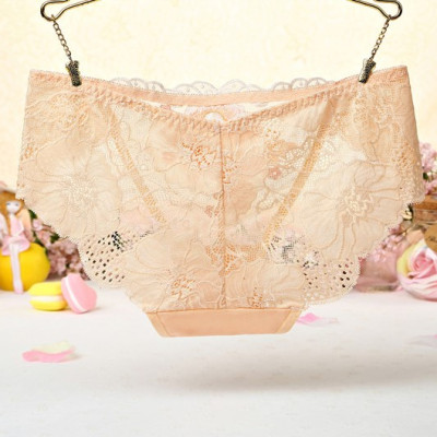 Combo 05 Quần Lót Ren Thêu Hoa Hồng Mềm Mại Quyến Rũ (Giao màu ngẫu nhiên)
