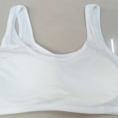 COMBO 2 ÁO LÁ HỌC SINH COTTON SỌC TRẮNG ĐẸP