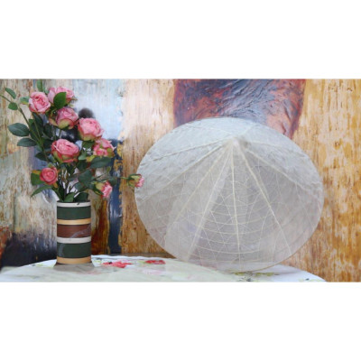 Nón lá bàng dân gian (nón lá huế), Nón lá chụp ảnh nghệ thuật