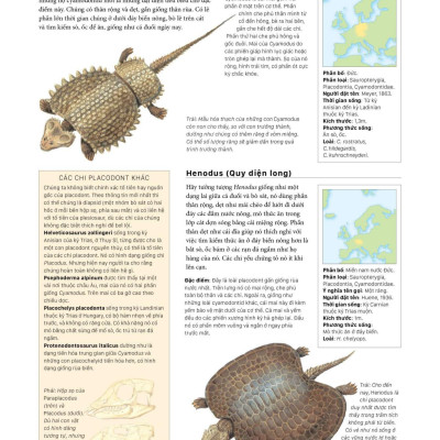 Sách - Bách Khoa Khủng Long Toàn Tập - Bìa Cứng