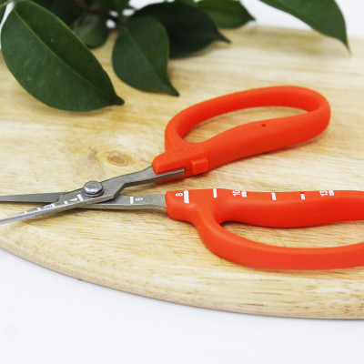 Kéo cắt nho cao cấp Nhật Bản Chikamasa B-500S