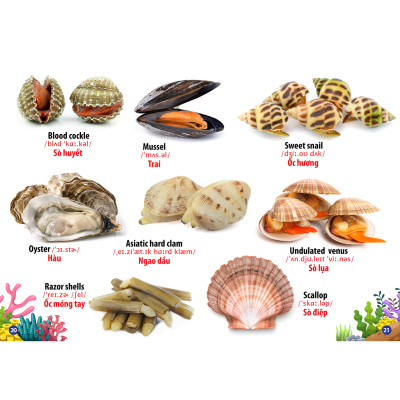 Từ Điển -  Thư Viện Hình Ảnh Song Ngữ Đầu Tiên Của Bé - Thế Giới Động Vật - Động Vật dưới Nước - Phương tiện Giao Thông - Côn Trùng Và Bò Sát ( bộ 4 cuốn )