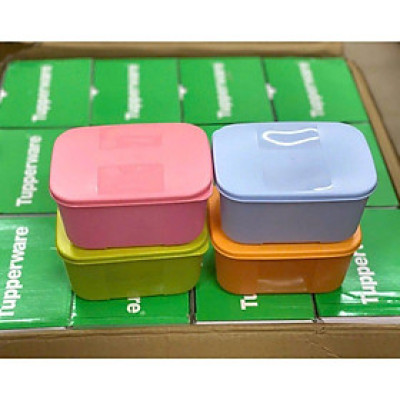 Sét 4 hộp nhựa đựng thực phẩm trữ đông dung tích 700ml