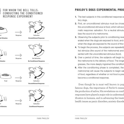 Sách Psych 101: Psychology facts, basics, statistics, tests, and more! (Adams 101)