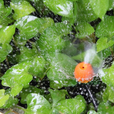 Đầu tưới phun sương 360 độ hộp 10 cái/ Micro Mist Sprayer on Spike Claber 91229