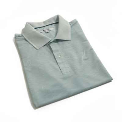 Áo Polo nam Novelty Regular fit NATMINMCLR210089N