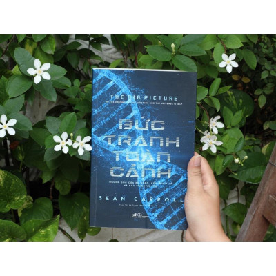 Sách - Bức tranh toàn cảnh: Nguồn gốc của sự sống, của nghĩa lý và của chính vũ trụ