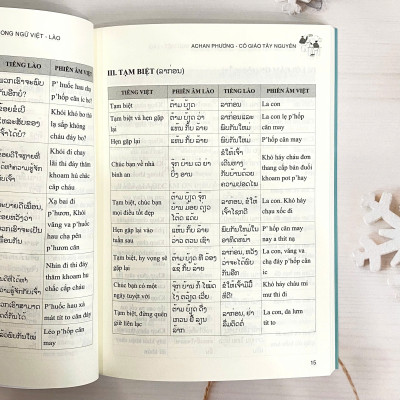 COMBO 2 cuốn: Từ vựng và mẫu câu thực chiến song ngữ Việt - Lào + 30 ngày trôi chảy tiếng Lào 